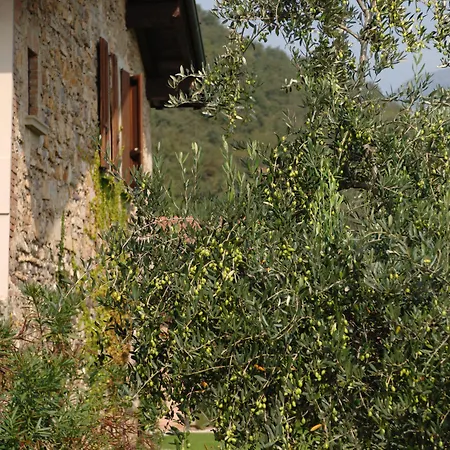 Relaisfranciacorta 4*