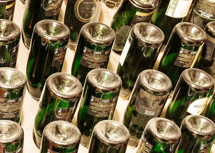 黎莱斯佛兰切柯尔塔酒店 4* 科尔特弗兰卡